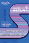 Fundamentos de la VMNI en la insuficiencia respiratoria aguda | 9788478854783 | Portada