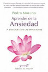 APRENDER DE LA ANSIEDAD | 9788433026248 | Portada