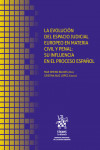 La evolución del espacio judicial europeo en materia civil y penal: su influencia en el proceso español | 9788411137515 | Portada