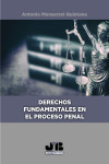 Derechos fundamentales en el proceso penal | 9788419045805 | Portada