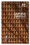 TC 164. Gabriela Carrillo. Arquitectura 2014- 2024 | 9788417753634 | Portada