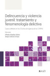 Delincuencia y violencia juvenil: tratamiento y fenomenología delictiva | 9788410292352 | Portada