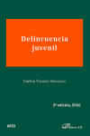 Delincuencia juvenil | 9791370069018 | Portada