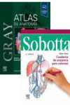 PACK ANATOMIA: GRAY ATLAS+NETTER CUADERNO PARA COLOREAR | 9791370032852 | Portada